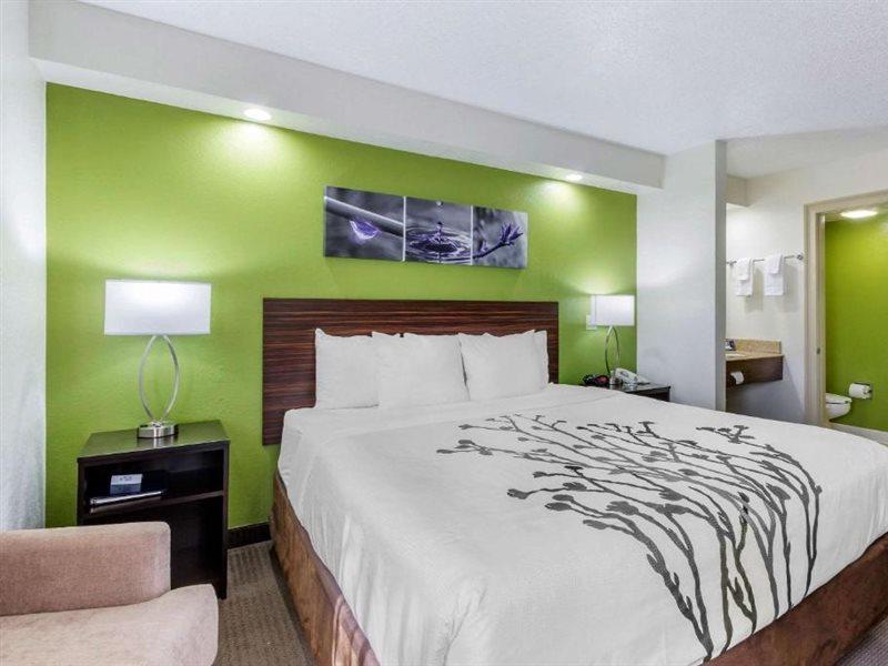 Sleep Inn near Busch Gardens - USF Temple Terrace Buitenkant foto