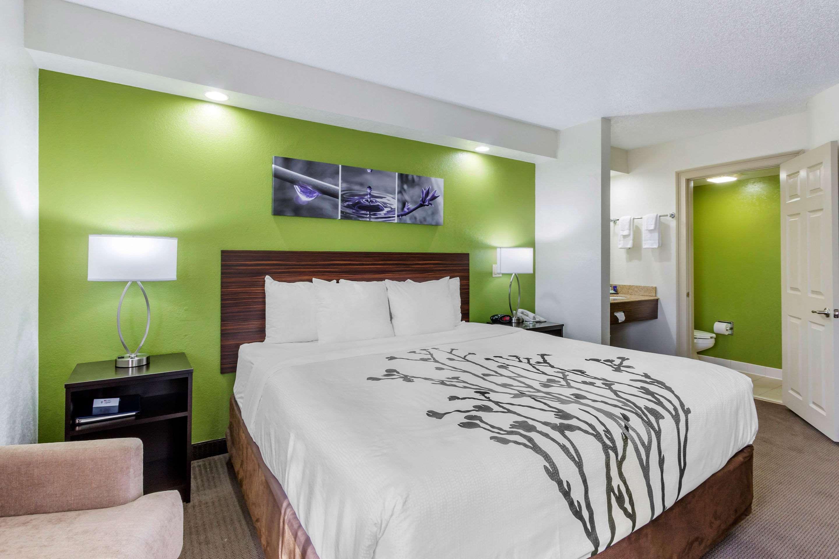 Sleep Inn near Busch Gardens - USF Temple Terrace Buitenkant foto