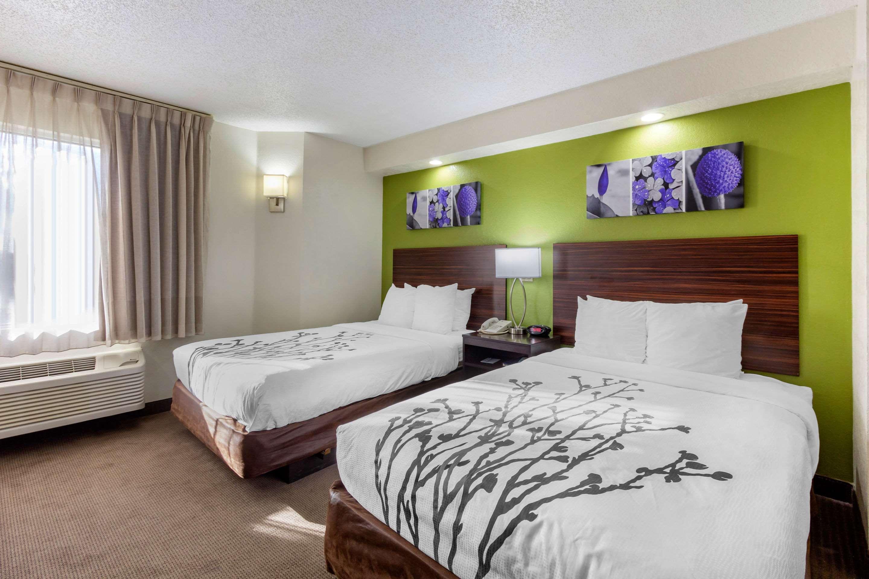 Sleep Inn near Busch Gardens - USF Temple Terrace Buitenkant foto