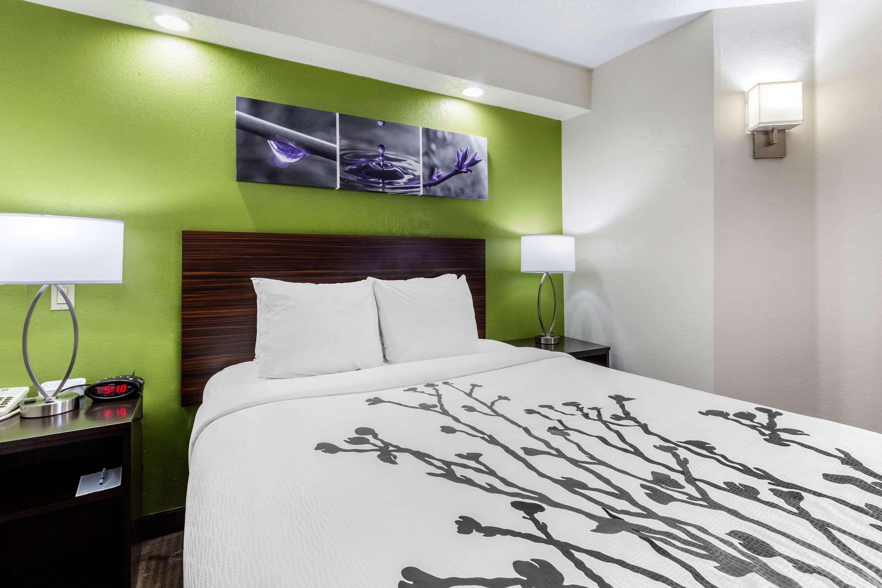 Sleep Inn near Busch Gardens - USF Temple Terrace Buitenkant foto