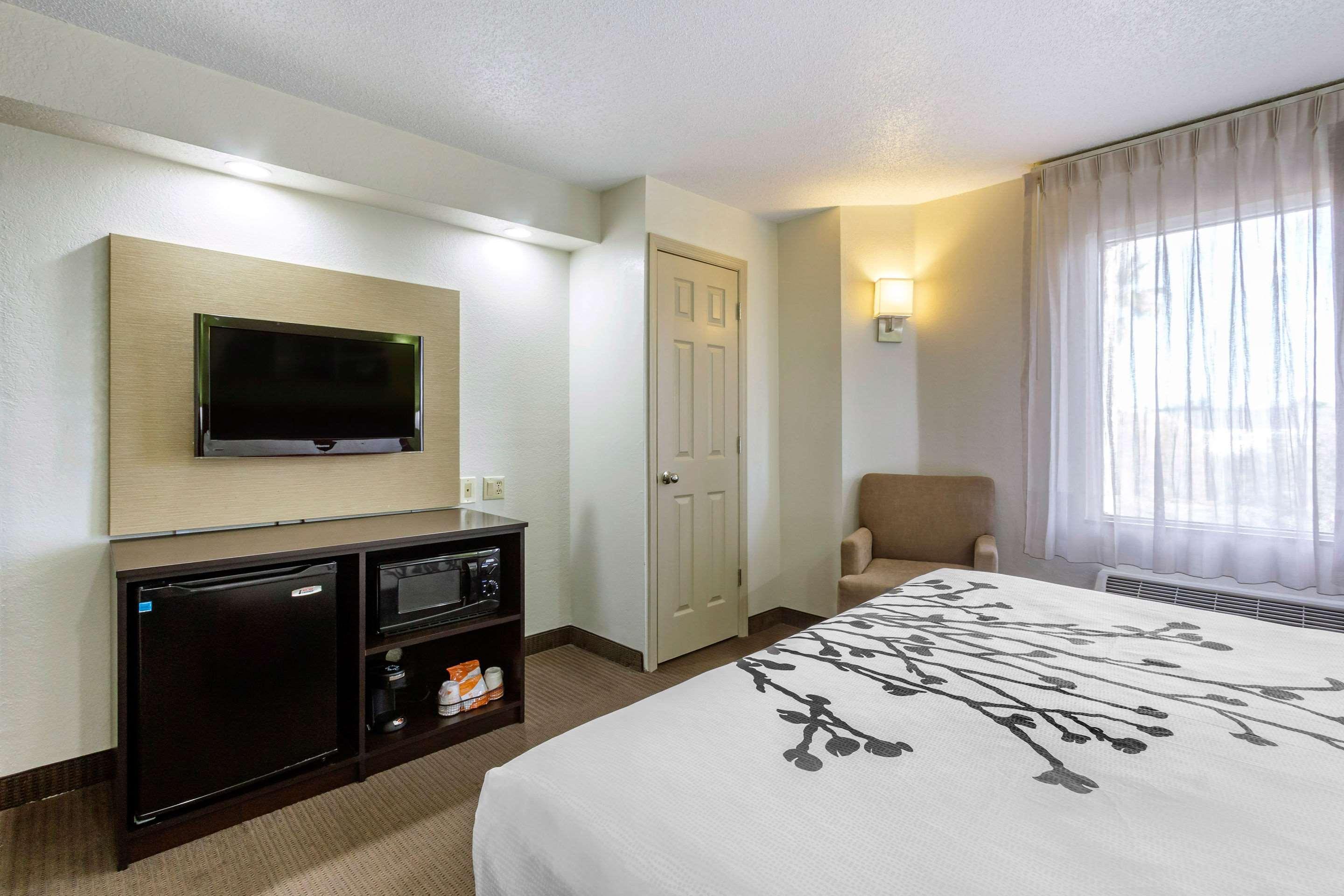 Sleep Inn near Busch Gardens - USF Temple Terrace Buitenkant foto