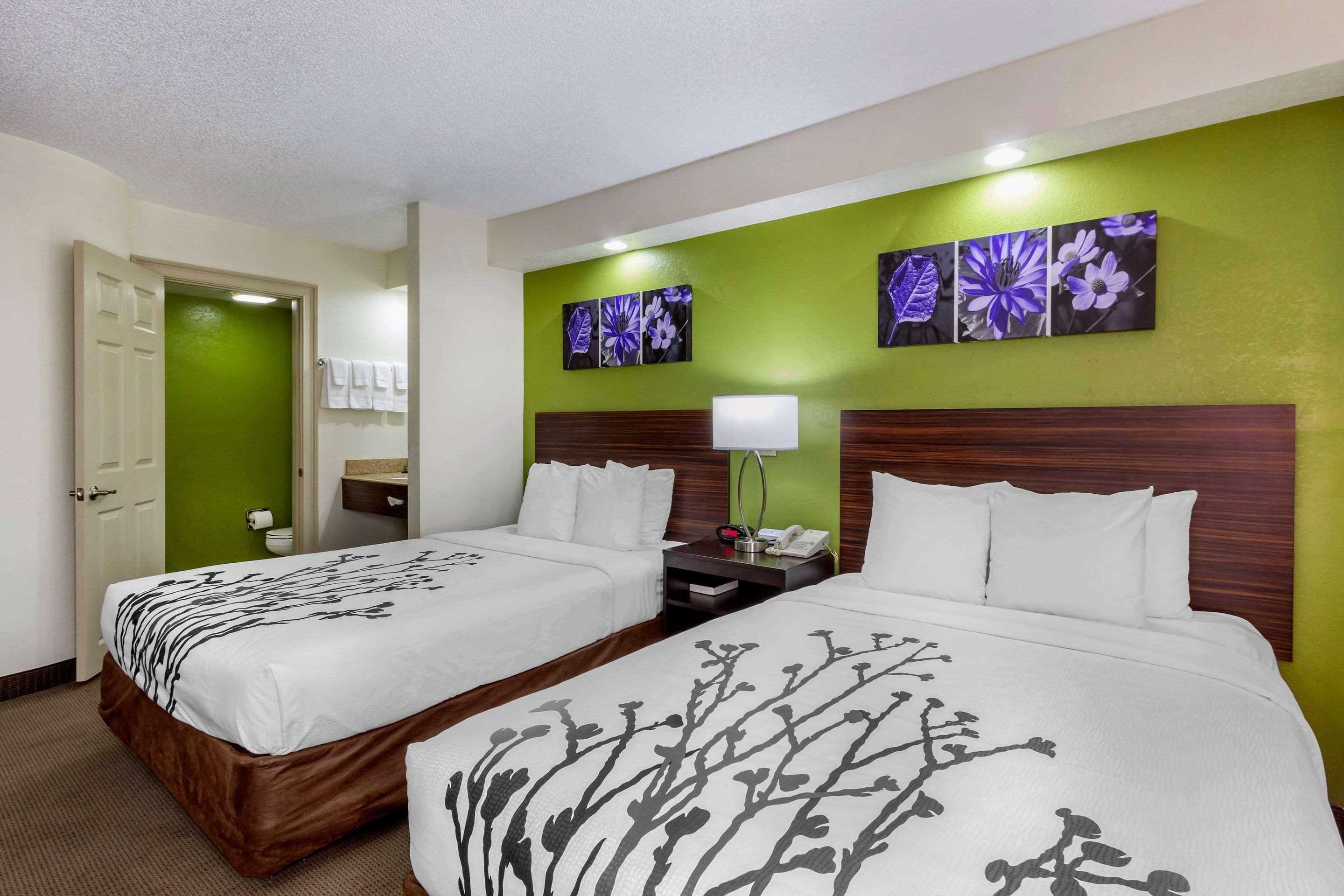 Sleep Inn near Busch Gardens - USF Temple Terrace Buitenkant foto