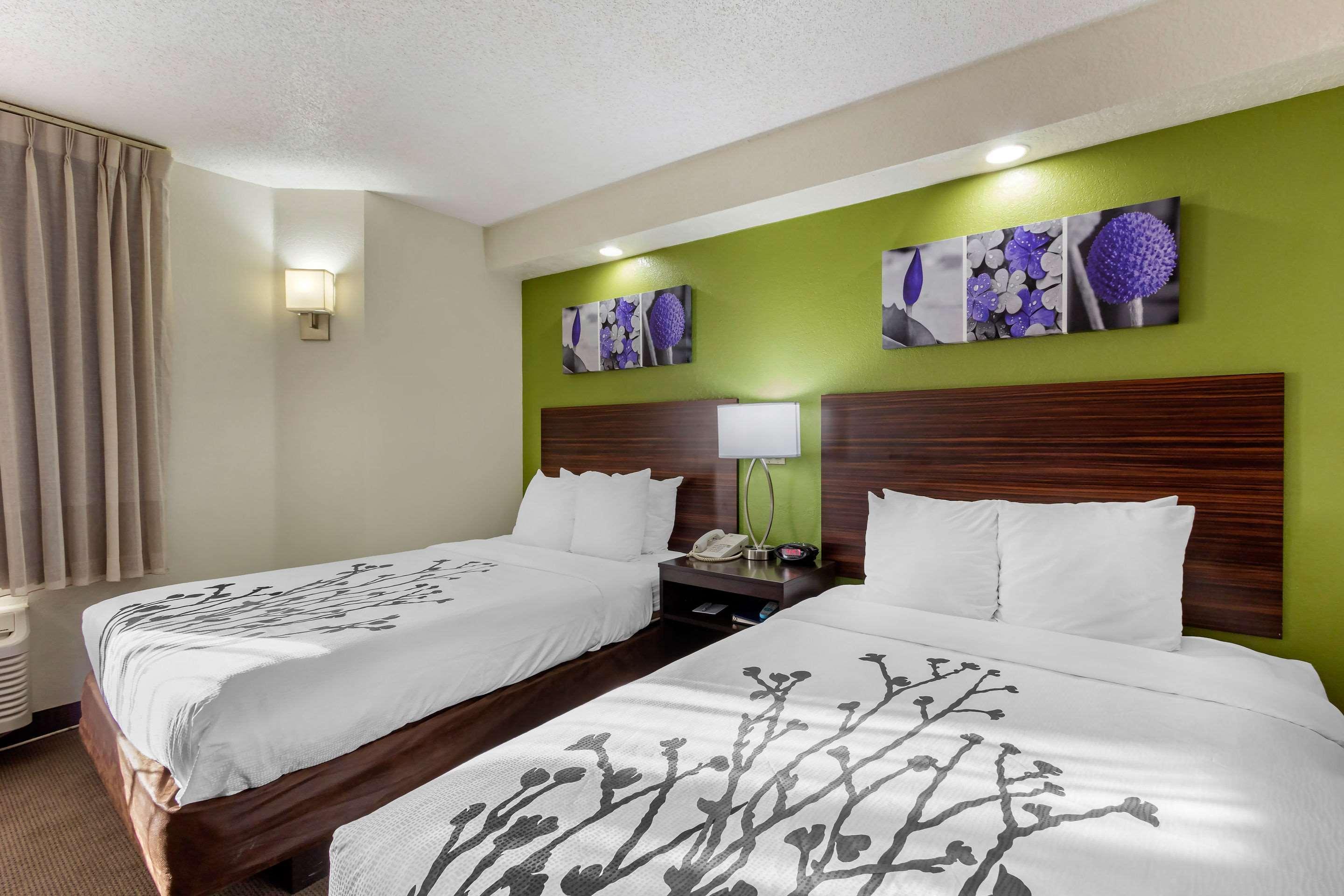 Sleep Inn near Busch Gardens - USF Temple Terrace Buitenkant foto