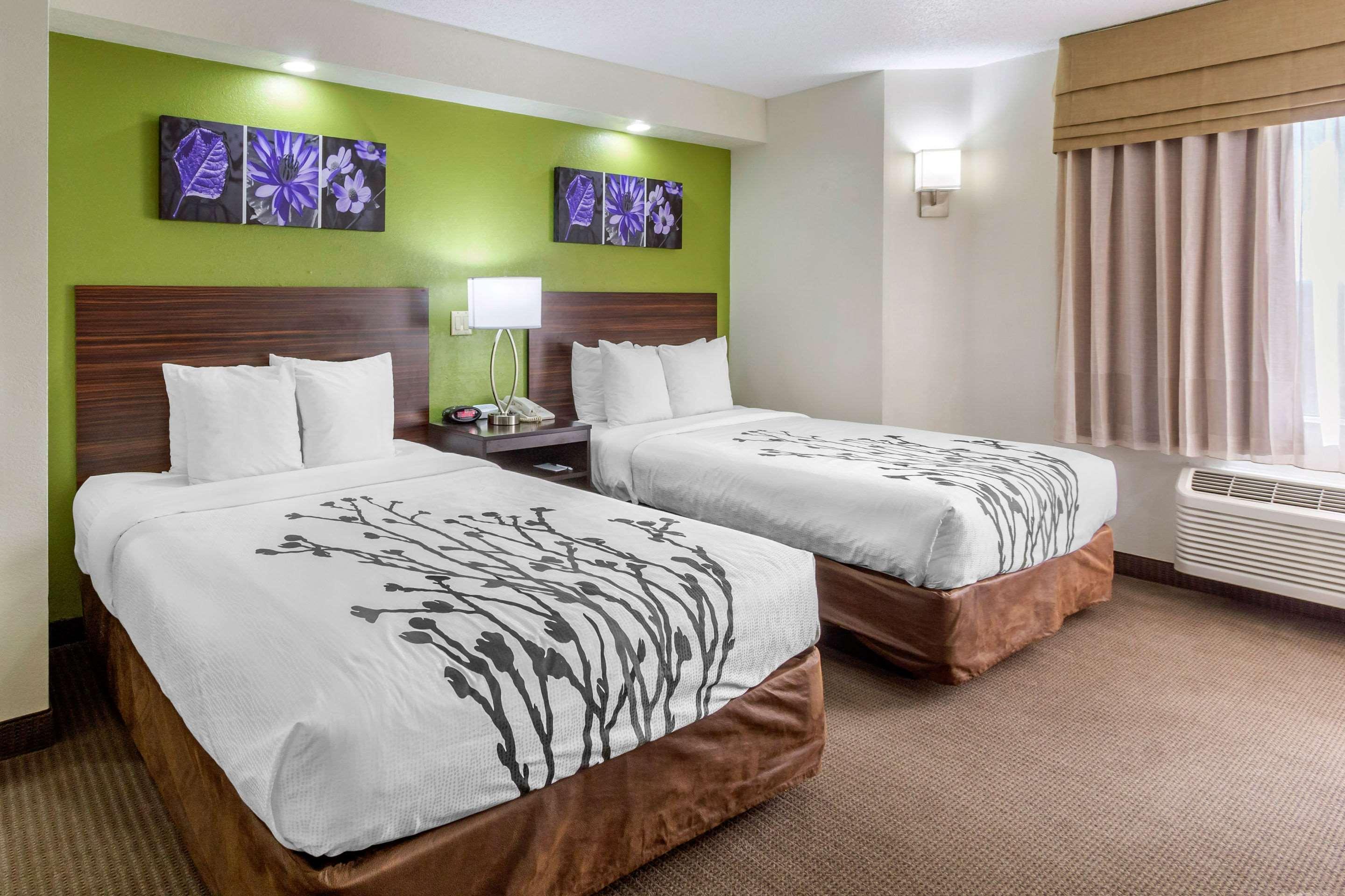 Sleep Inn near Busch Gardens - USF Temple Terrace Buitenkant foto