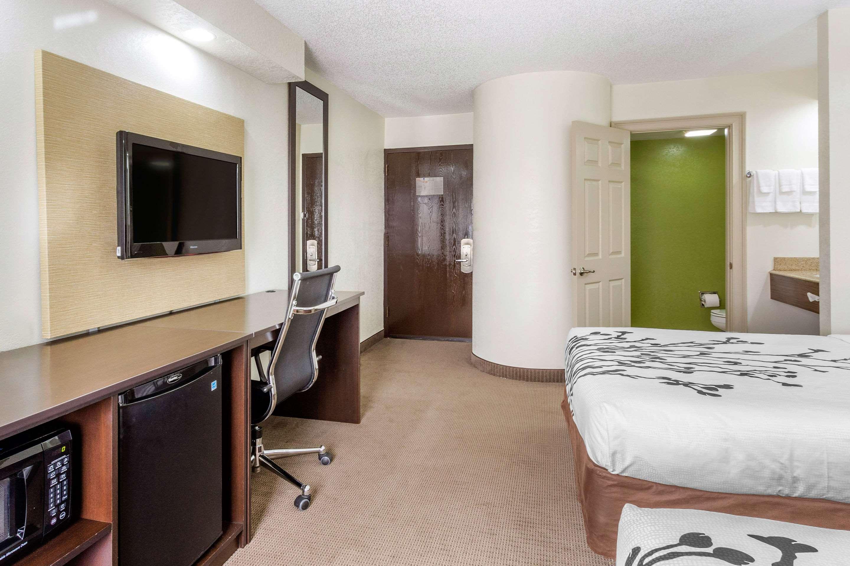 Sleep Inn near Busch Gardens - USF Temple Terrace Buitenkant foto