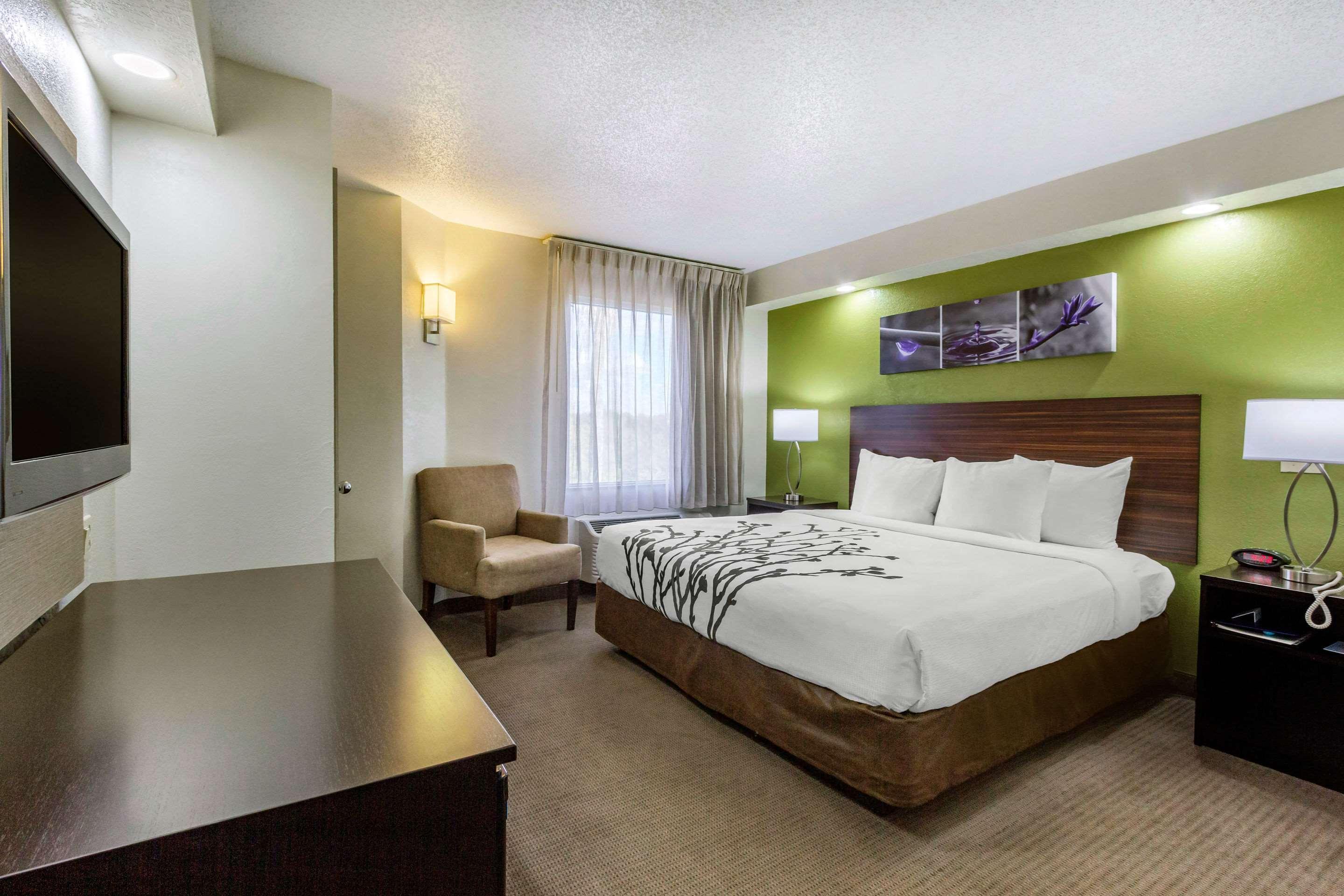 Sleep Inn near Busch Gardens - USF Temple Terrace Buitenkant foto